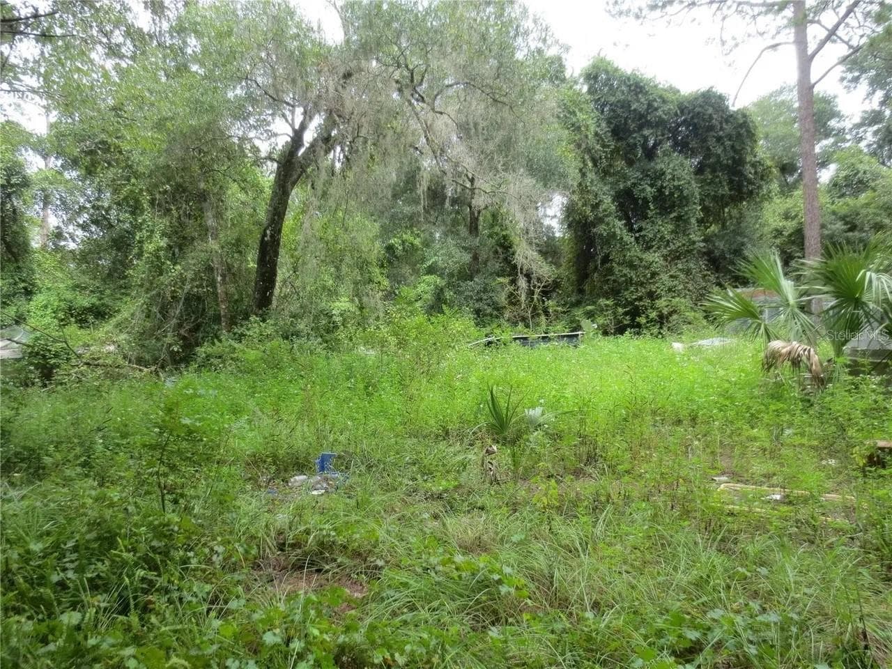 Land at 16865 SE 3RD PL, SILVER SPRINGS, photo 16 of 34