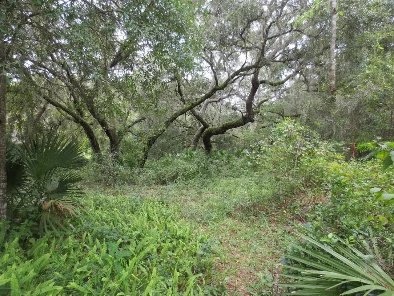 Land at 16865 SE 3RD PL, SILVER SPRINGS, photo 17 of 34