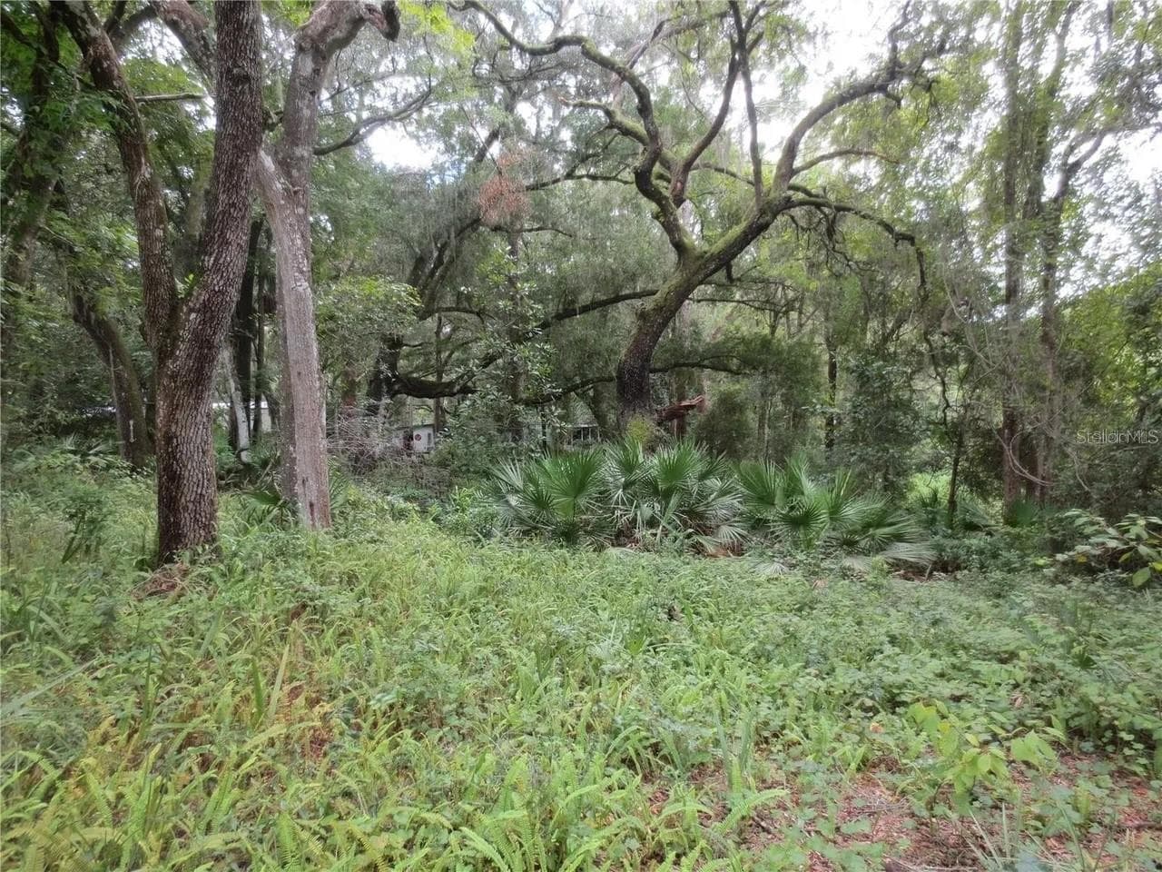Land at 16865 SE 3RD PL, SILVER SPRINGS, photo 19 of 34