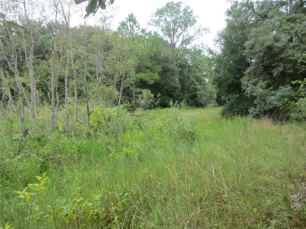 Land at 16865 SE 3RD PL, SILVER SPRINGS, photo 22 of 34