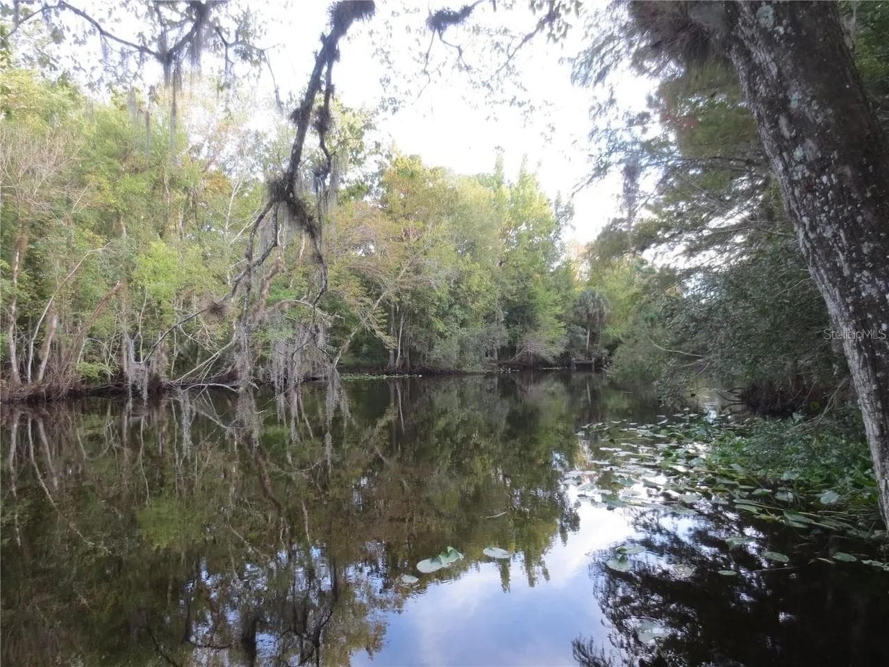 Land at 16865 SE 3RD PL, SILVER SPRINGS, photo 29 of 34