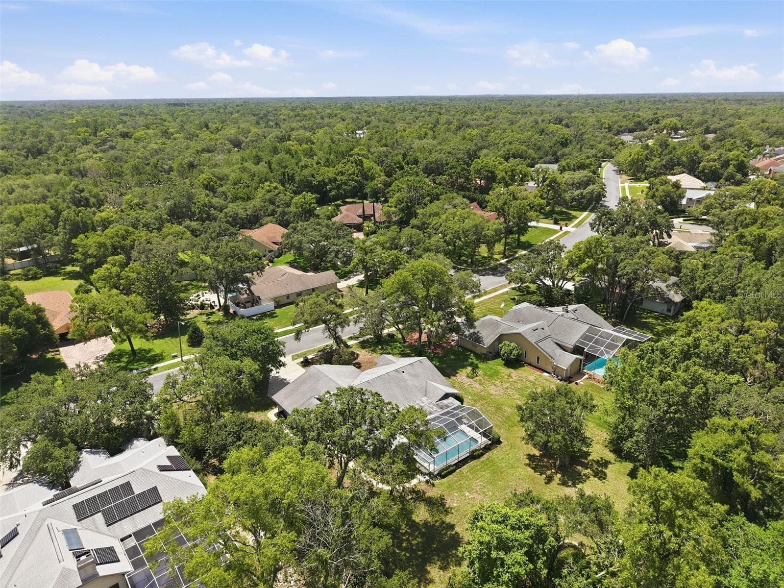 Single Family Residence at 18451 WINDING OAKS BLVD, HUDSON, photo 41 of 62