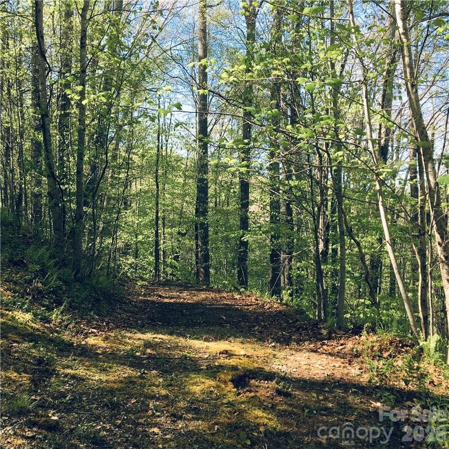 Lot at Mars Hill, photo 2 of 8
