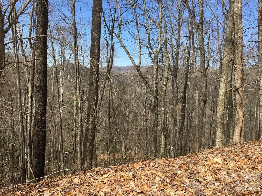 Lot at 57 Fern Hill Drive, Mars Hill, photo 3 of 8