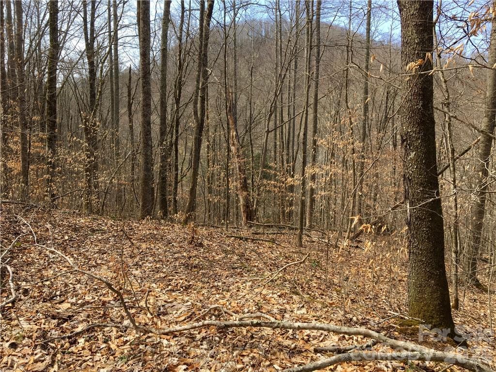 Lot at 57 Fern Hill Drive, Mars Hill, photo 4 of 8