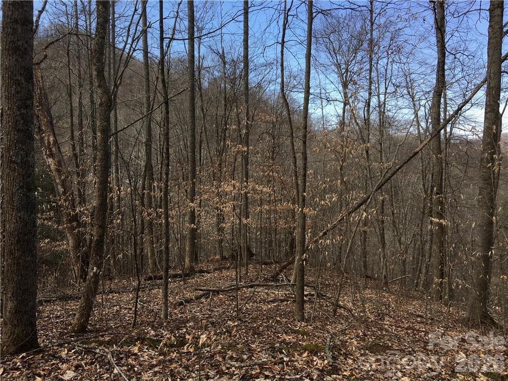 Lot at 57 Fern Hill Drive, Mars Hill, photo 6 of 8