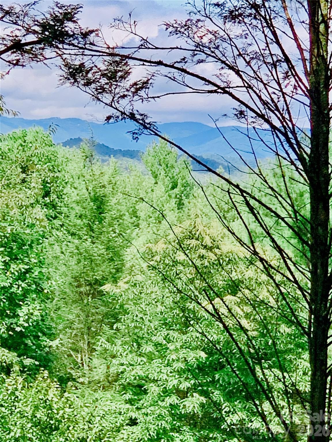 1.34 acres, Lot 234 Waterfall Lane