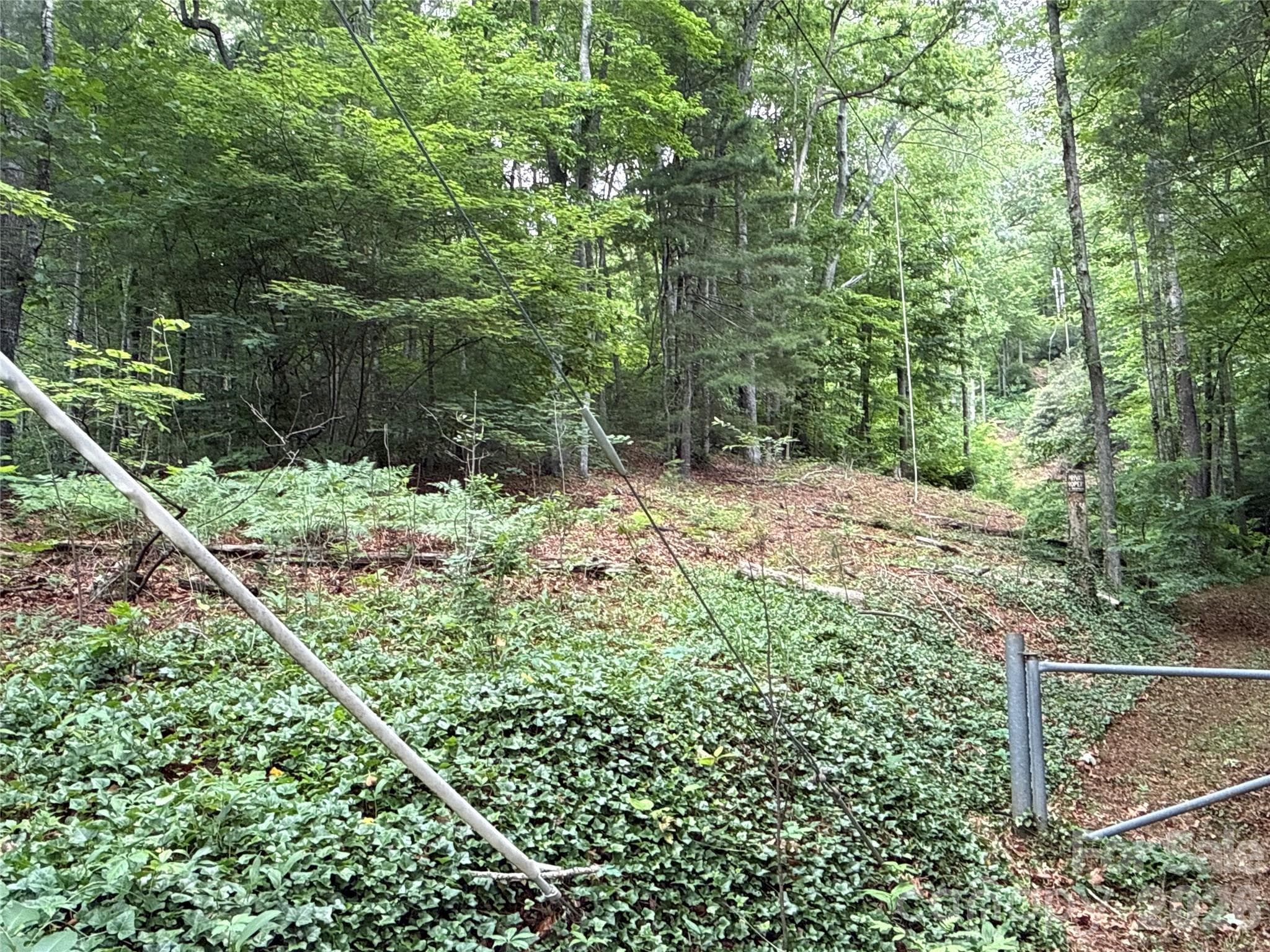 Well-Situated Build Site - Black Mountain