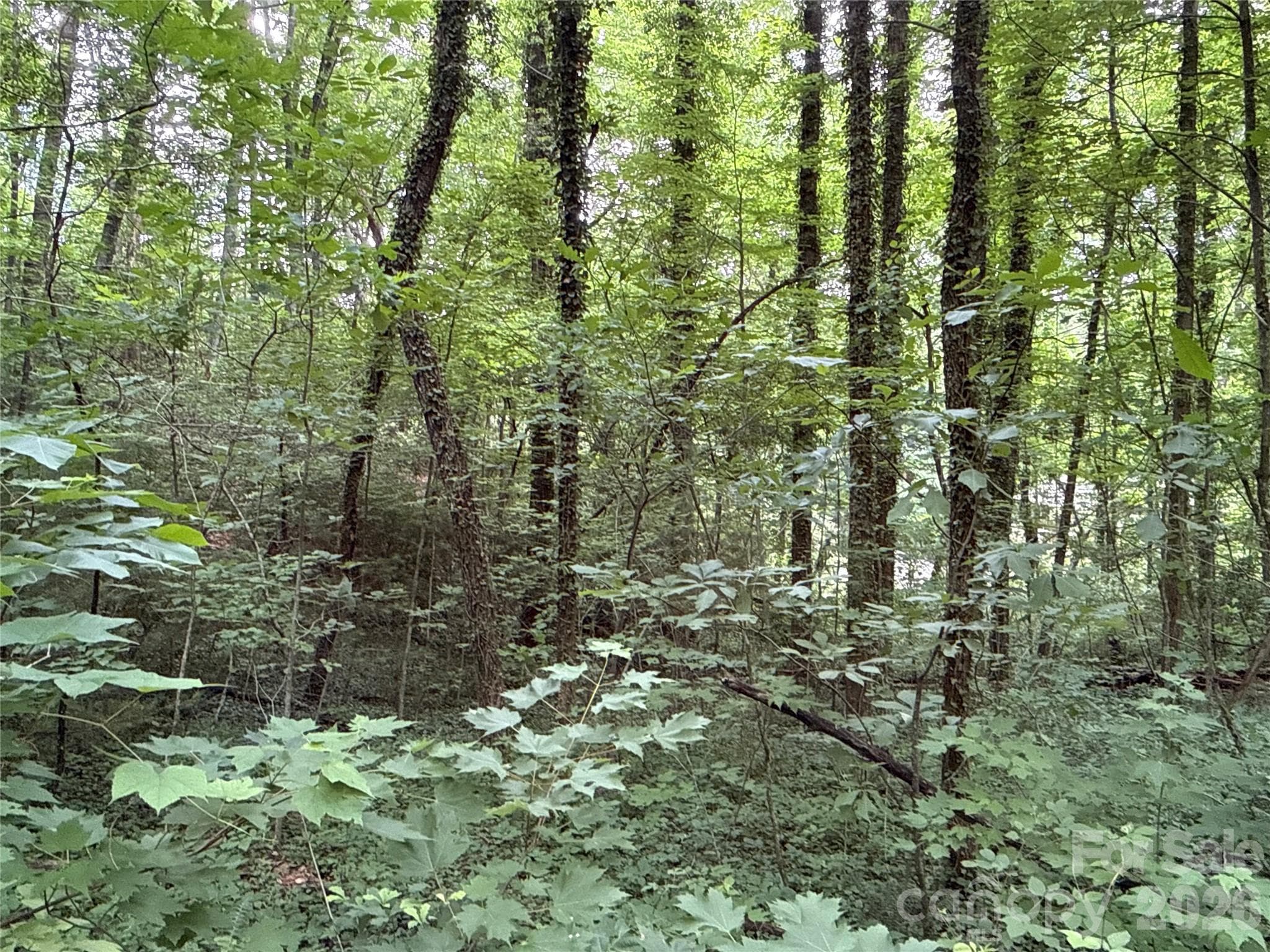 Lot at Black Mountain, photo 5 of 14
