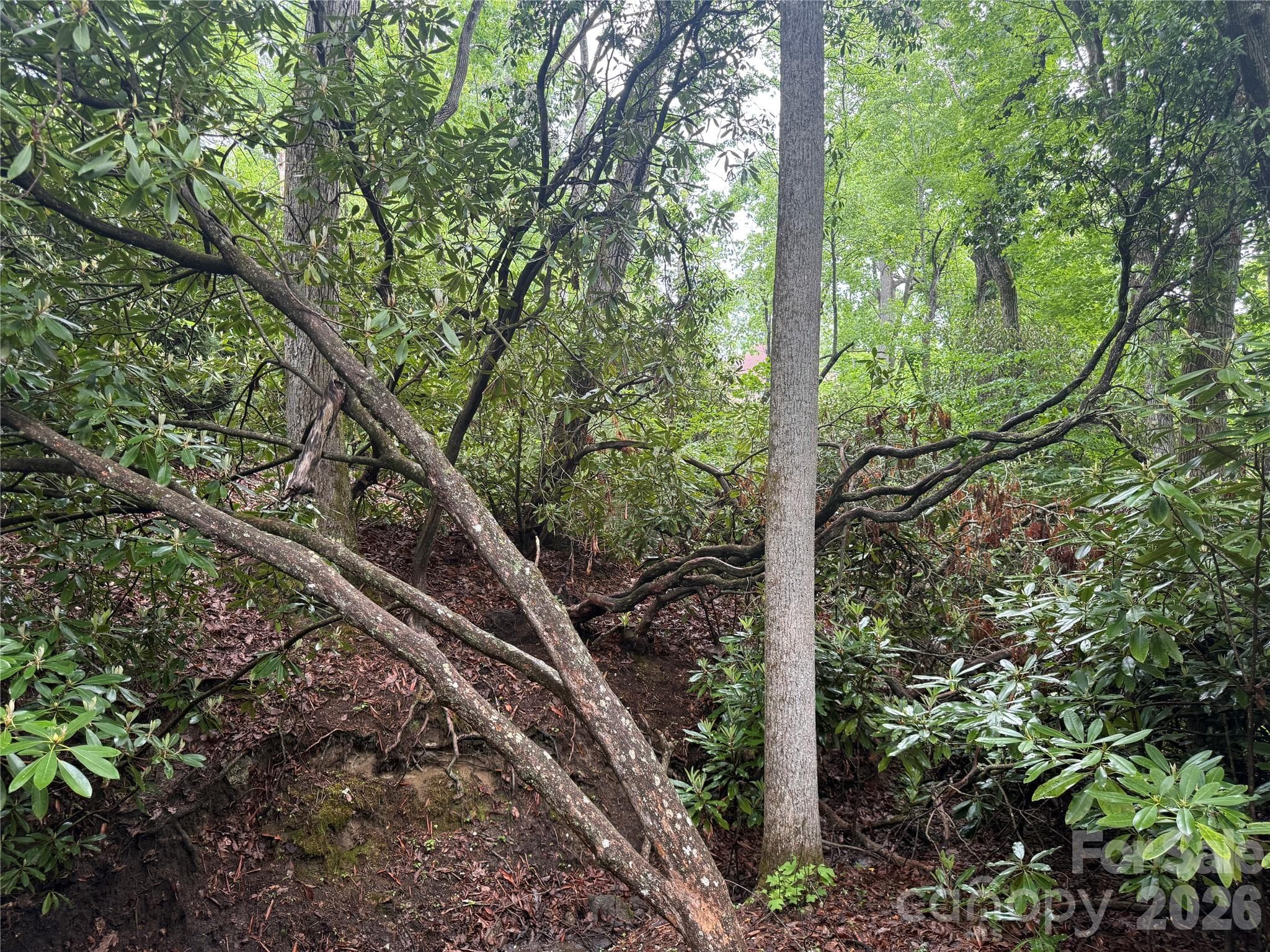 Lot at TBD Dogwood Trail, Spruce Pine, photo 13 of 41