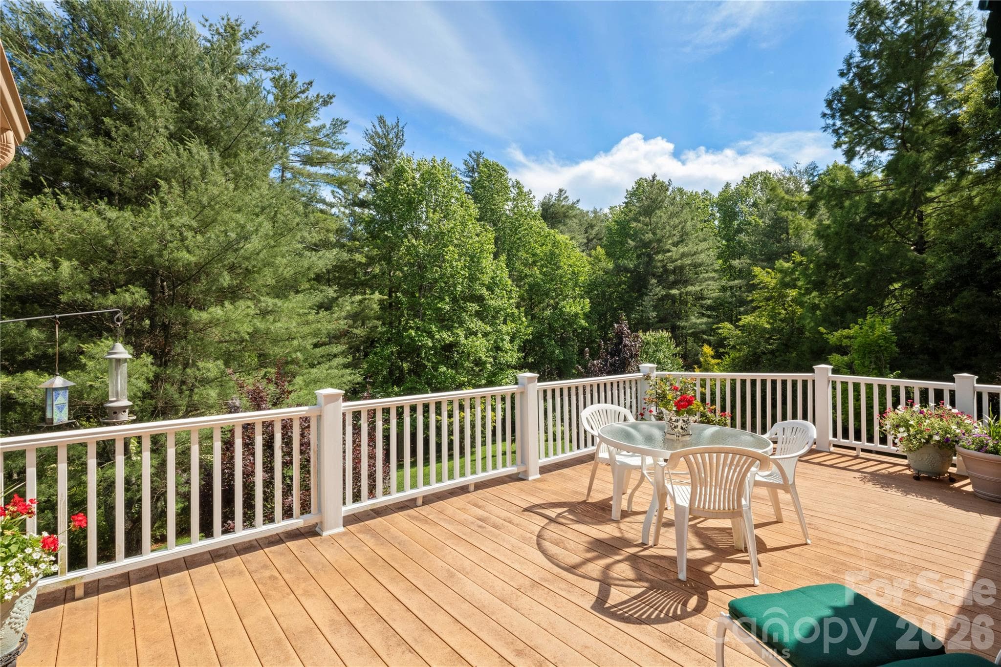 Single Family Residence at Hendersonville, photo 6 of 43