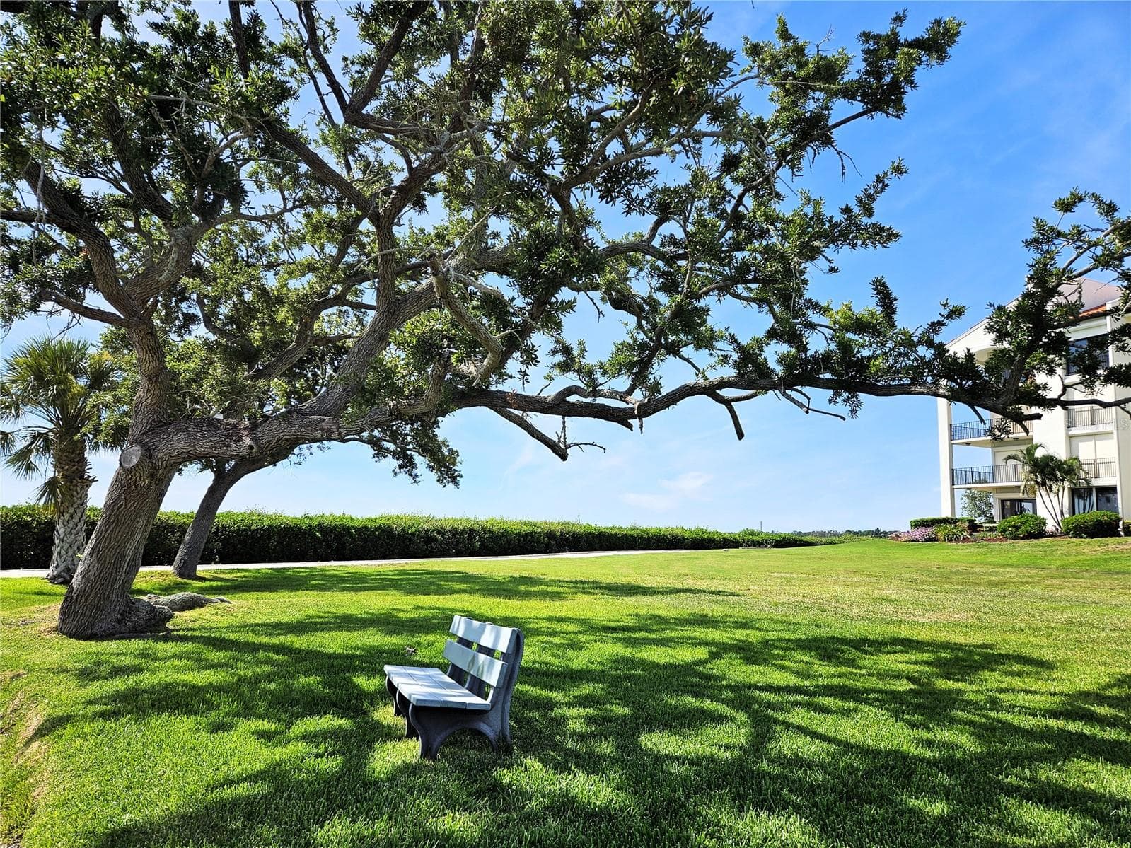 Serene nature walks - 1800 MARINER DR #9, TARPON SPRINGS