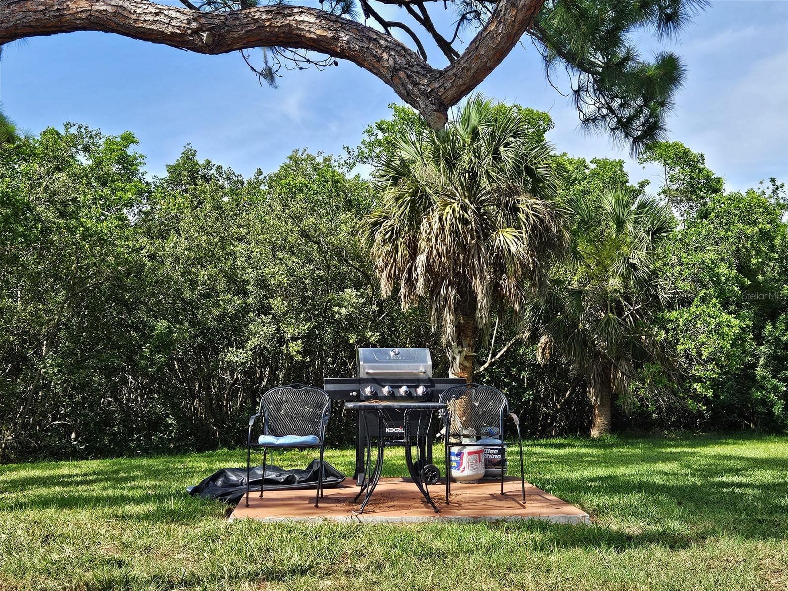 BBQ areas - 1800 MARINER DR #9, TARPON SPRINGS