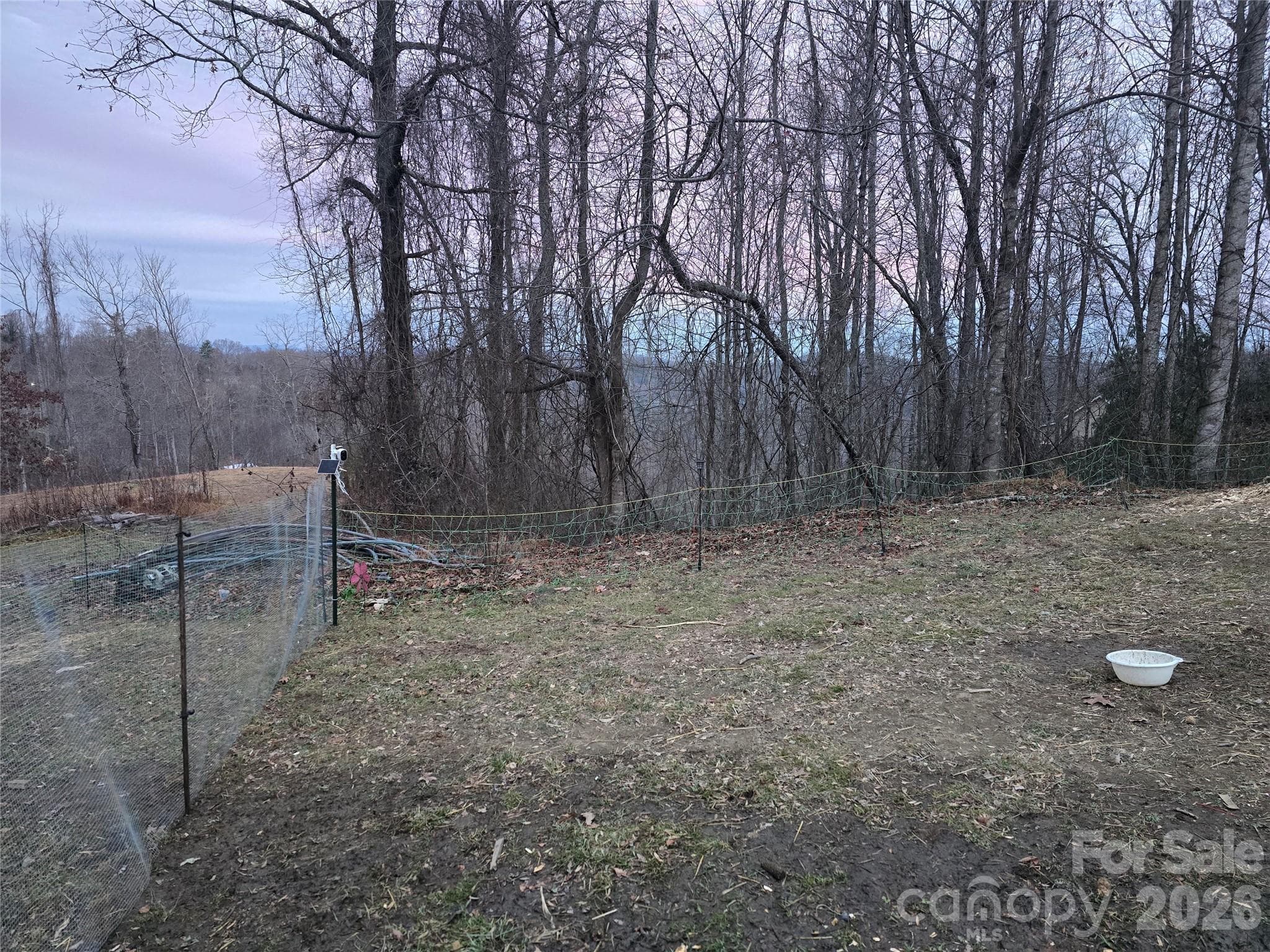 Winter view - Hendersonville