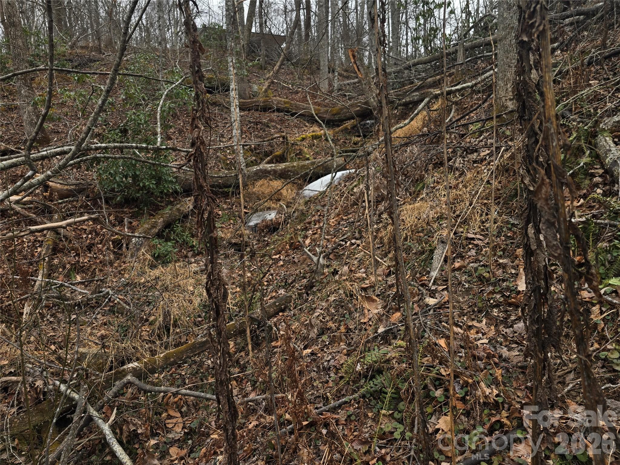 Winter waterfall- Frozen - Hendersonville