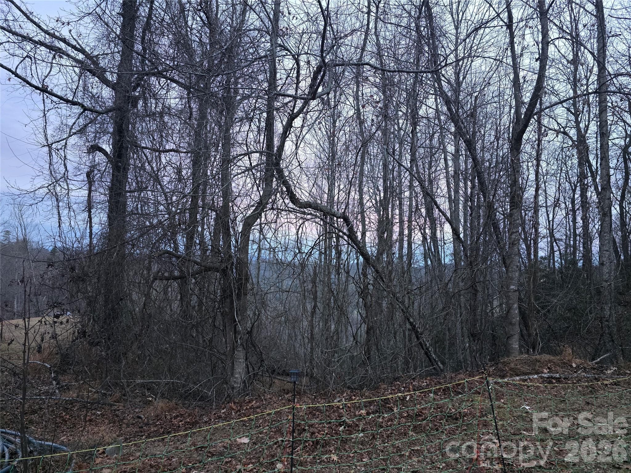 Winter views from parcel 1 - Hendersonville