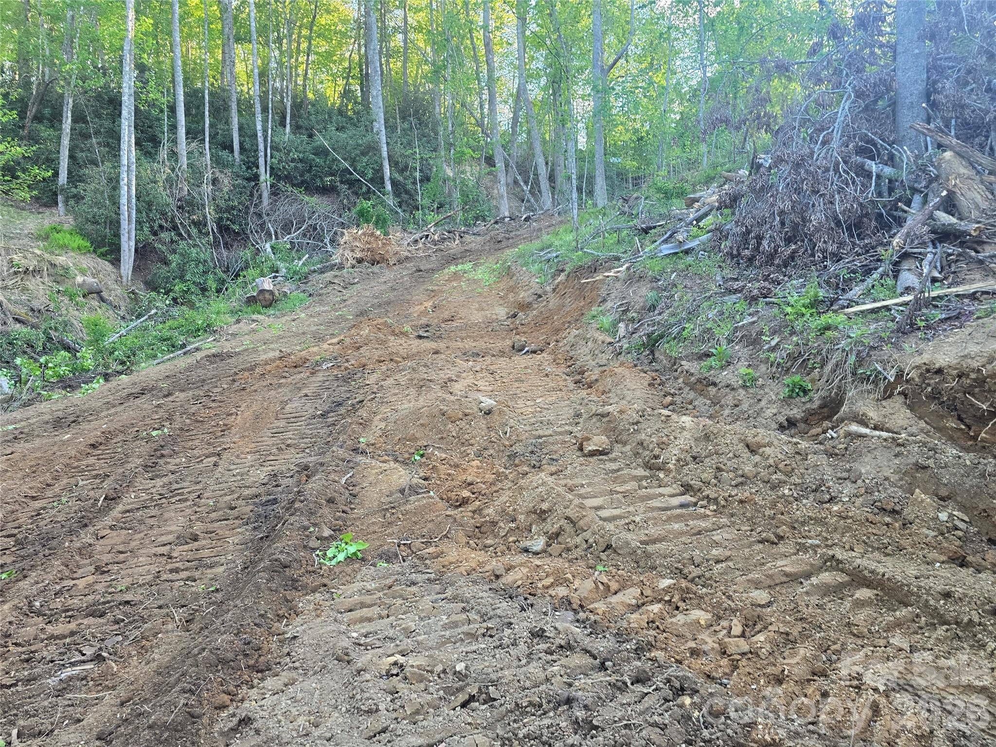 Road paths has been cut throughout Parcel 2 and 3. - Hendersonville