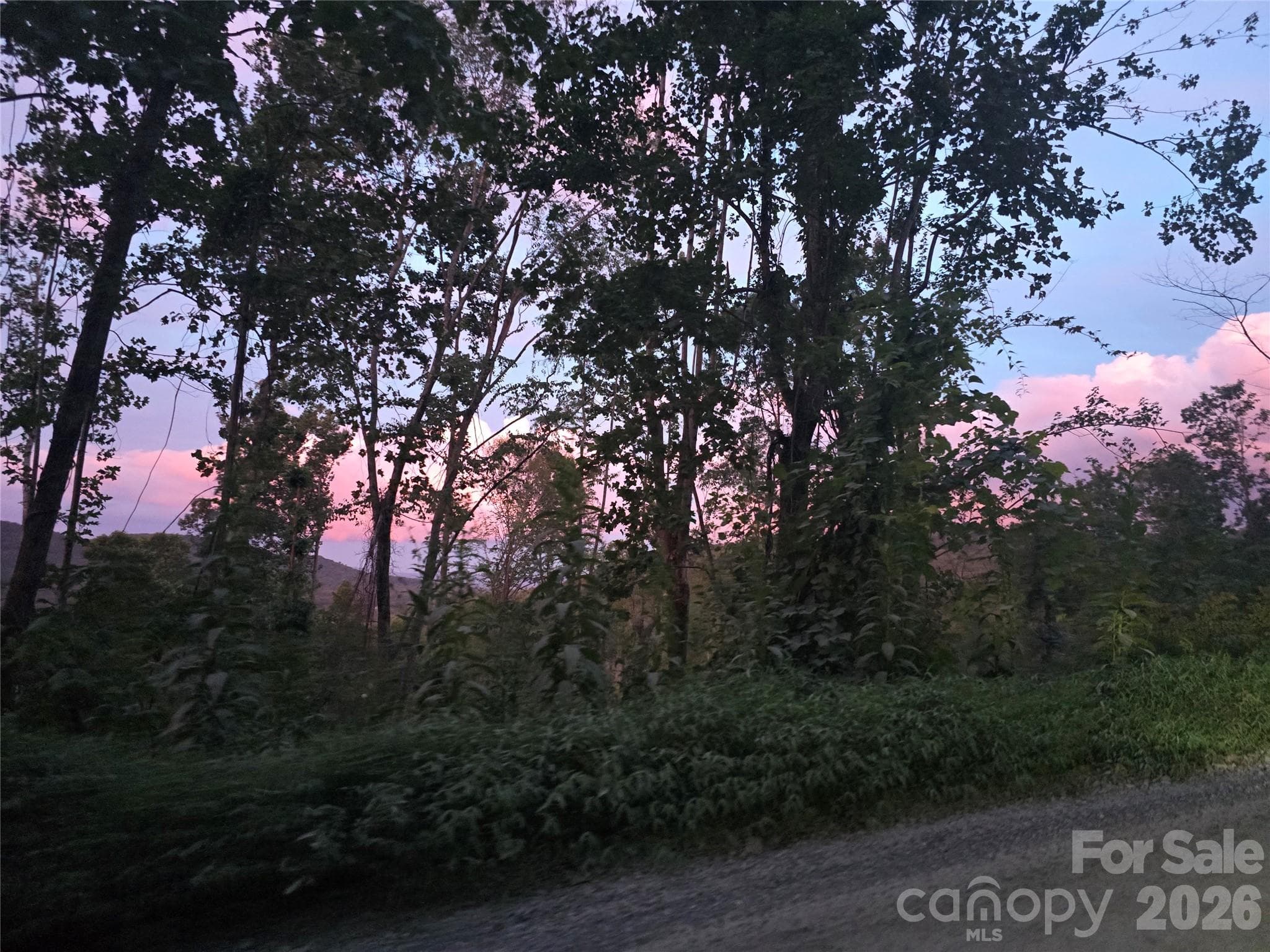 Nightview - Hendersonville