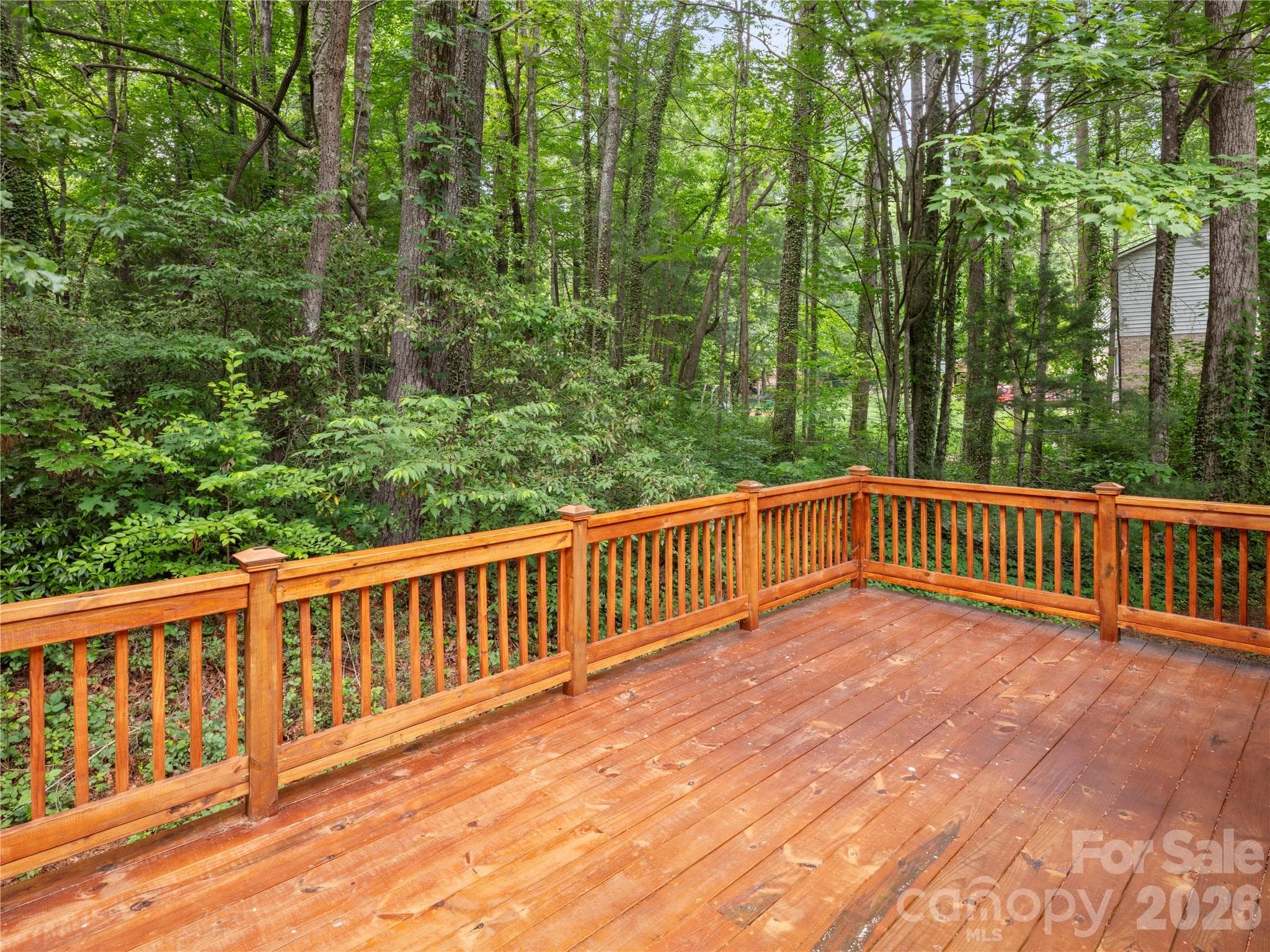 Single Family Residence at 11 Tree Top Drive, Arden, photo 25 of 44