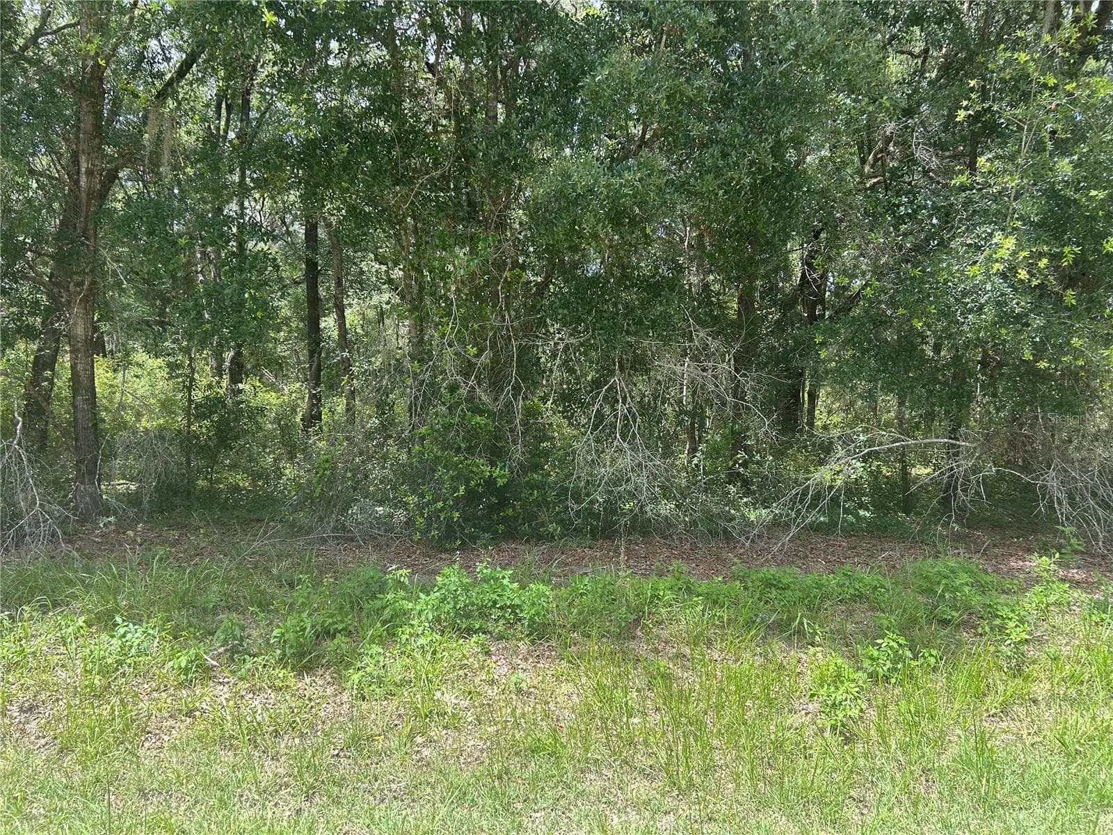 SW 111 LN