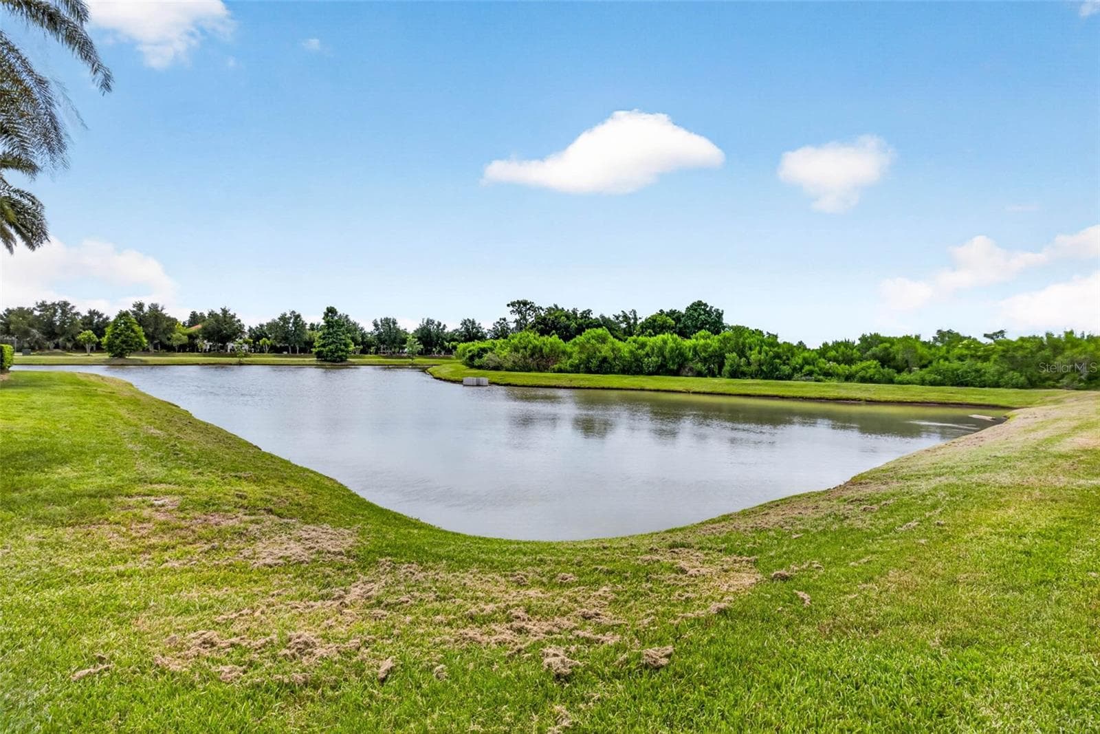 Outdoor pond with no rear neighbors. - 7109 BAY LAUREL CT, WESLEY CHAPEL