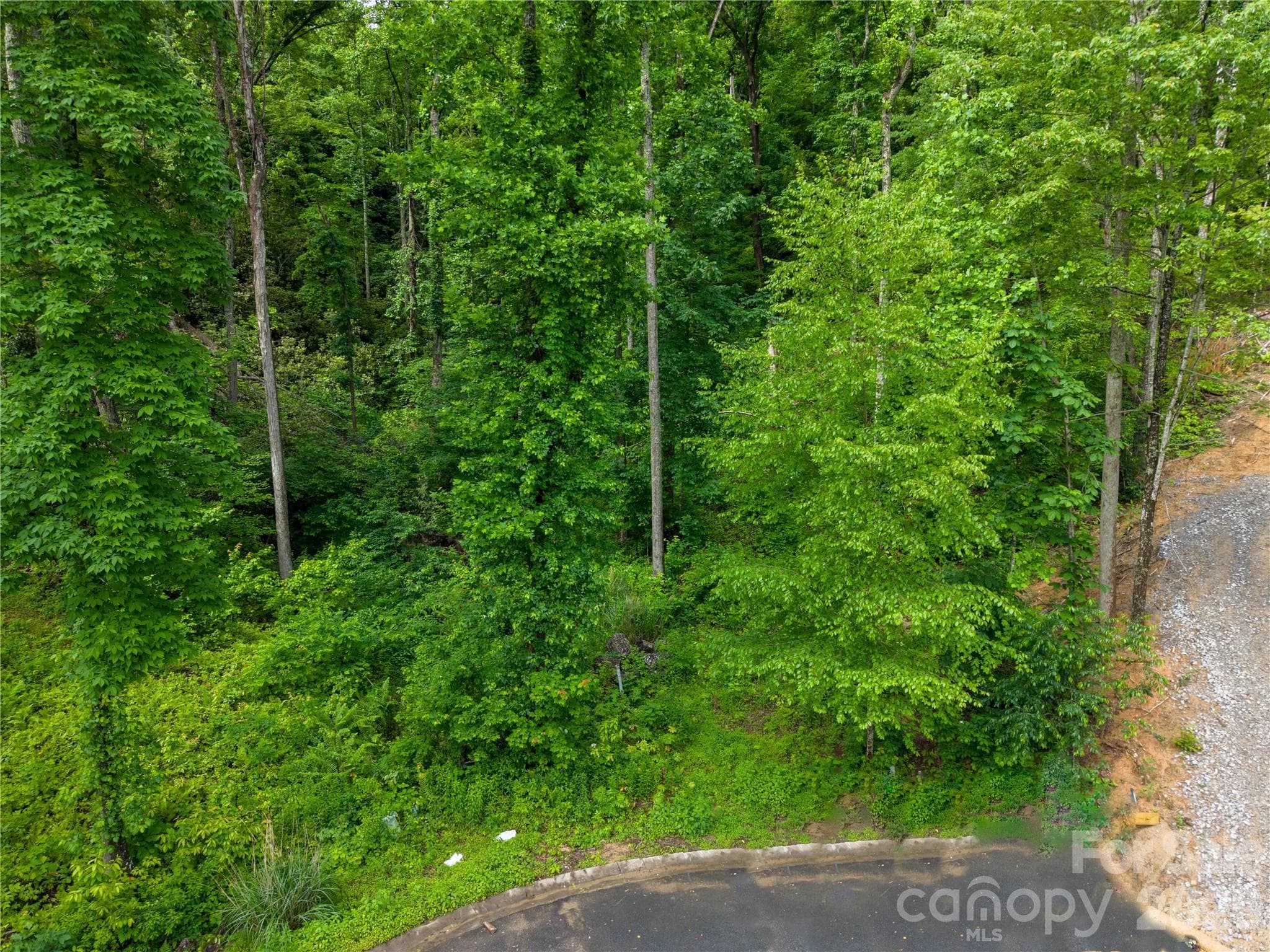 Lot at Hendersonville, photo 2 of 14