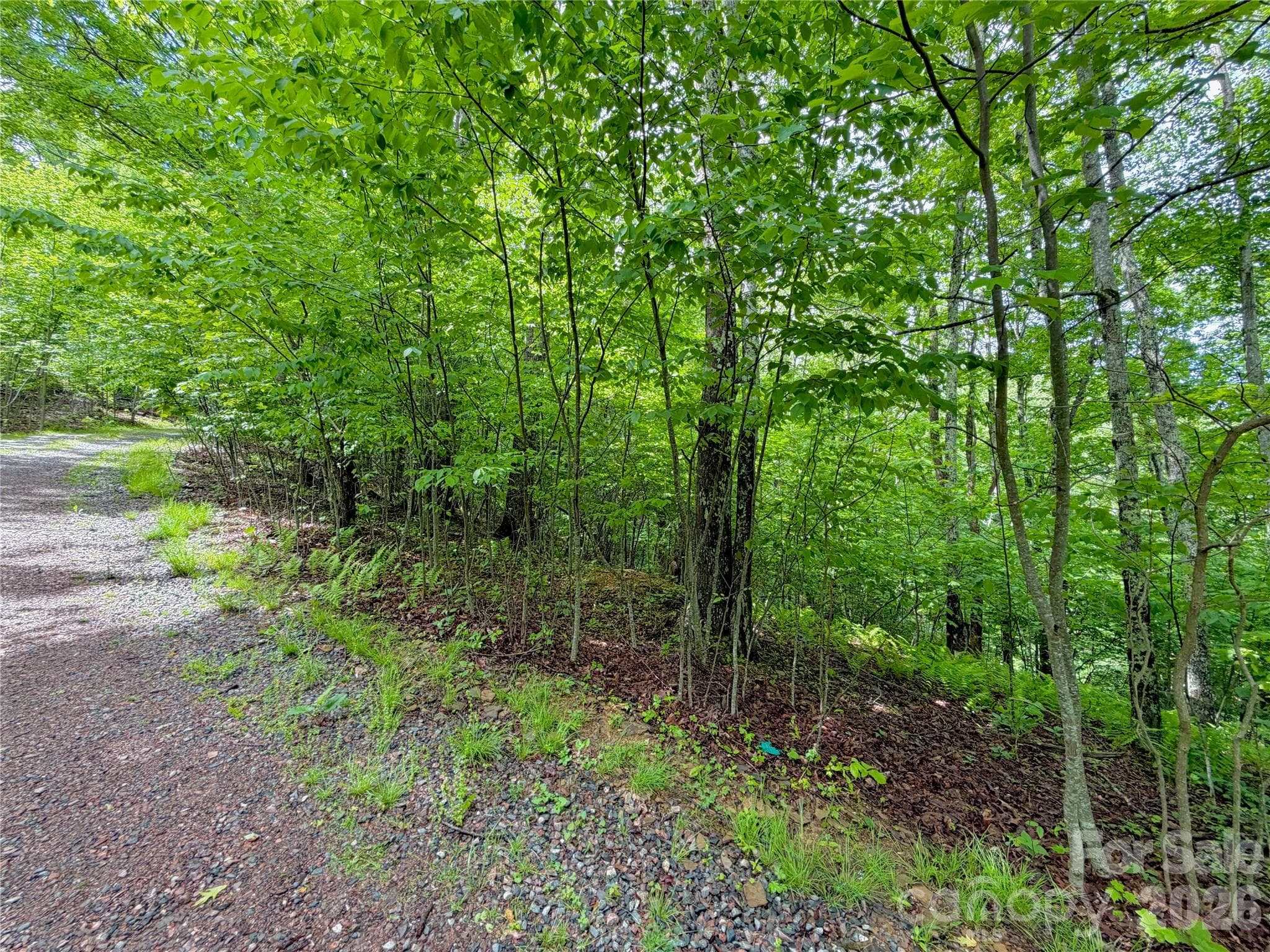 Lot at TBD Grandfather Watch Lane, Banner Elk, photo 2 of 16