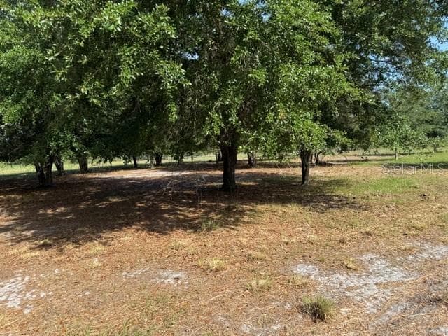 Land at 7214 OIL WELL RD, CLERMONT, photo 6 of 16
