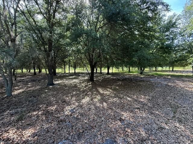 Land at 7214 OIL WELL RD, CLERMONT, photo 12 of 16