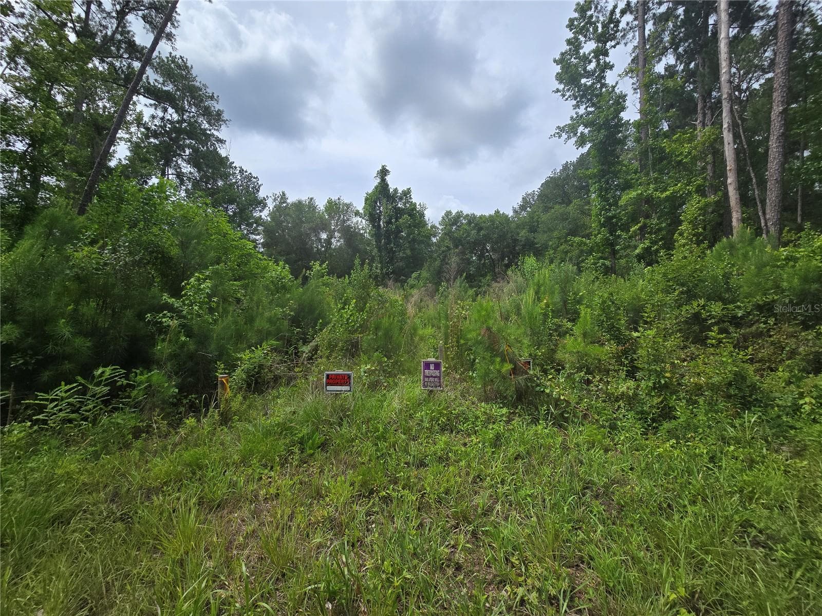 316 SEQUOIA DR