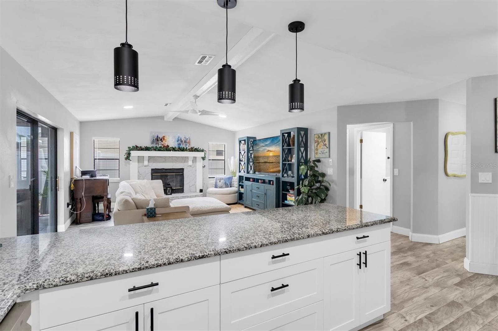 Single Family Residence at 8038 BUTTONBALL LN, PORT RICHEY, photo 11 of 30