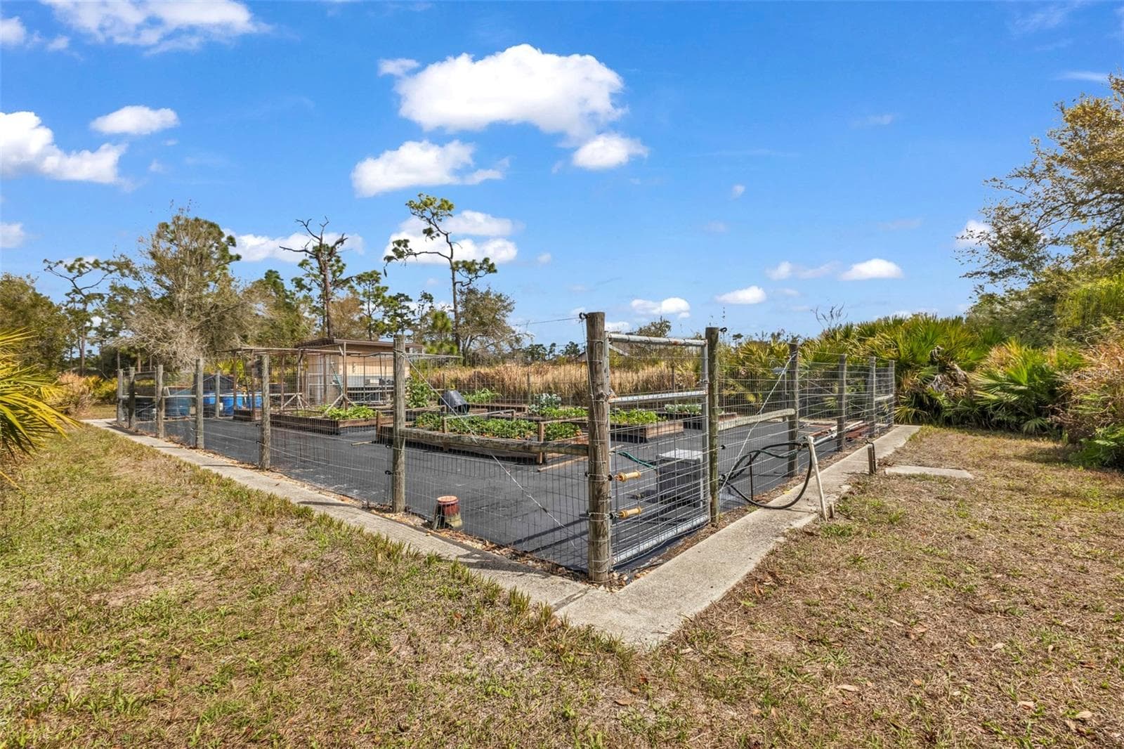 Single Family Residence at 29350 SAM WAY, PUNTA GORDA, photo 57 of 96