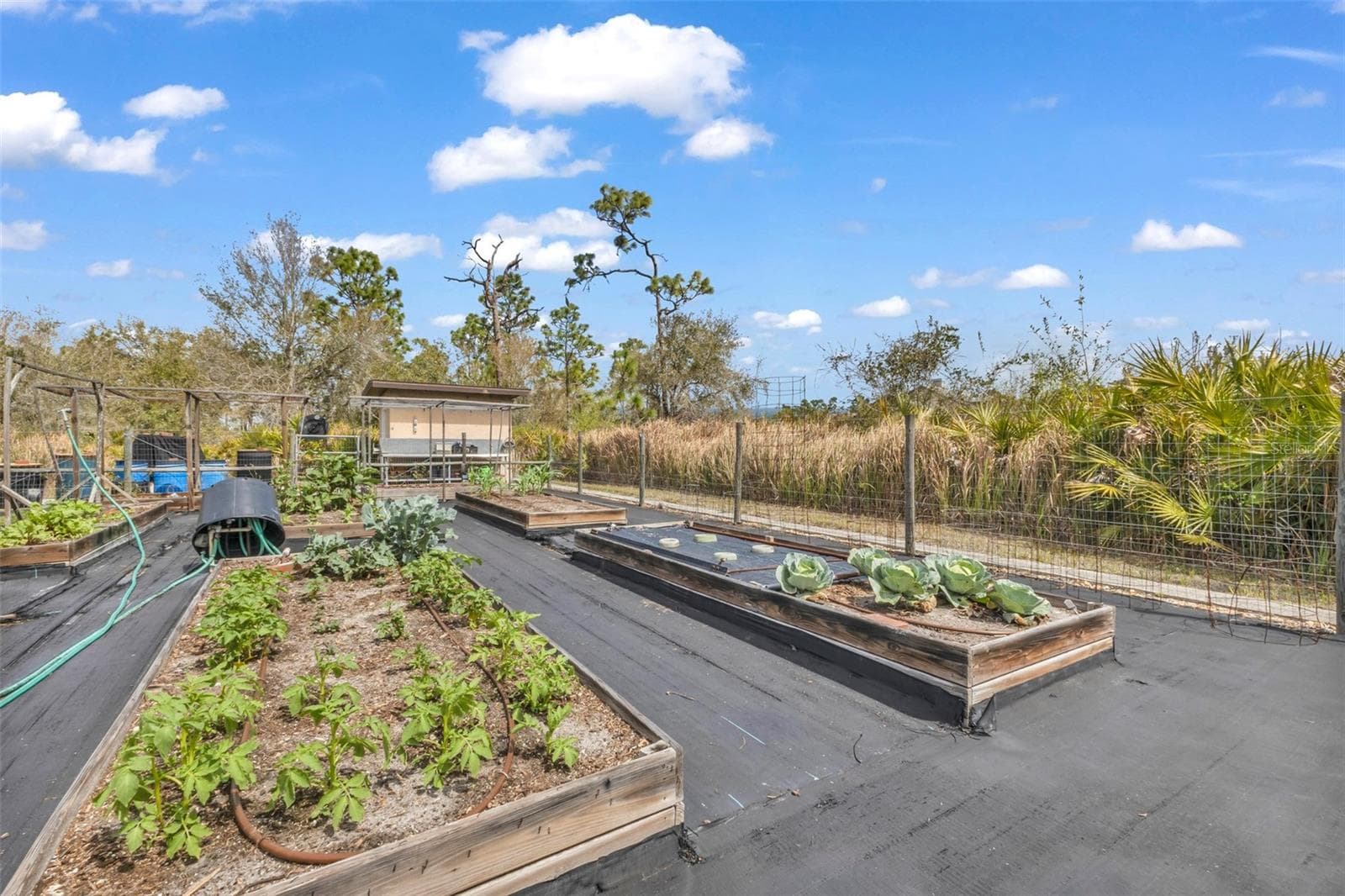 Single Family Residence at 29350 SAM WAY, PUNTA GORDA, photo 59 of 96