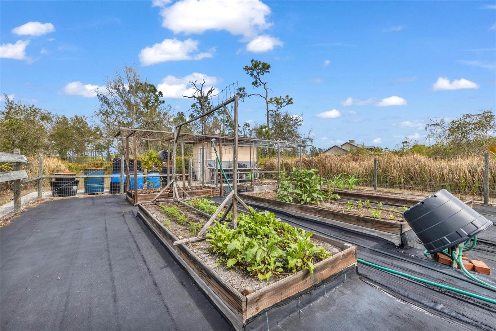 Single Family Residence at 29350 SAM WAY, PUNTA GORDA, photo 61 of 96