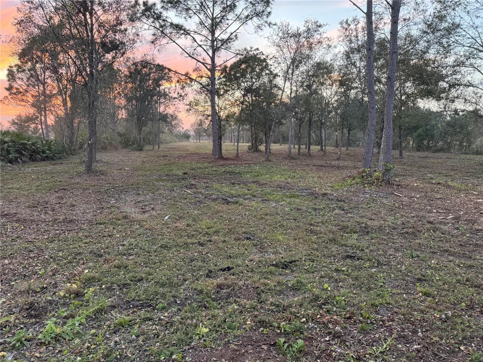 Land at 0 WEST FROSTPROOF RD, FROSTPROOF, photo 4 of 8