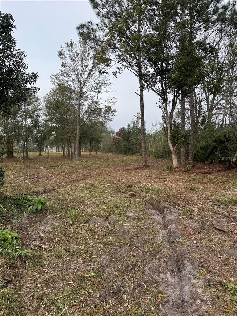 Land at 0 WEST FROSTPROOF RD, FROSTPROOF, photo 5 of 8
