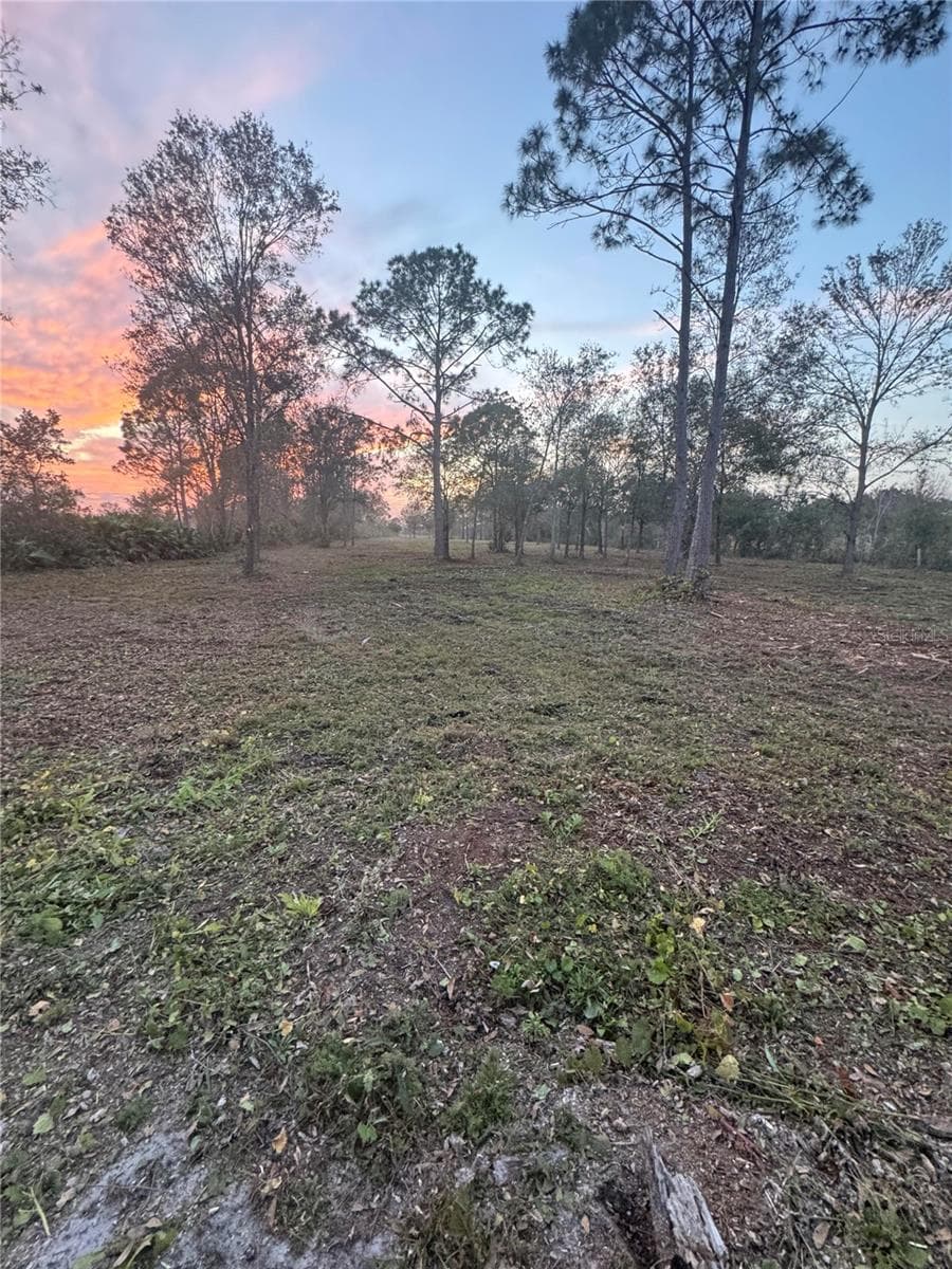 Land at 0 WEST FROSTPROOF RD, FROSTPROOF, photo 6 of 8
