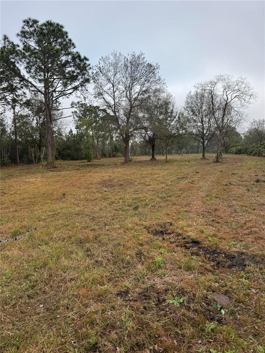 Land at 0 WEST FROSTPROOF RD, FROSTPROOF, photo 7 of 8
