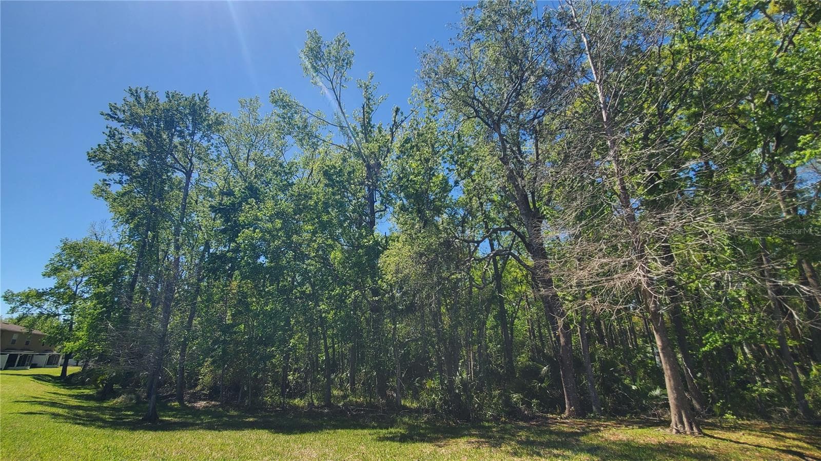 Townhouse at 4535 WINDING RIVER WAY, LAND O LAKES, photo 41 of 45
