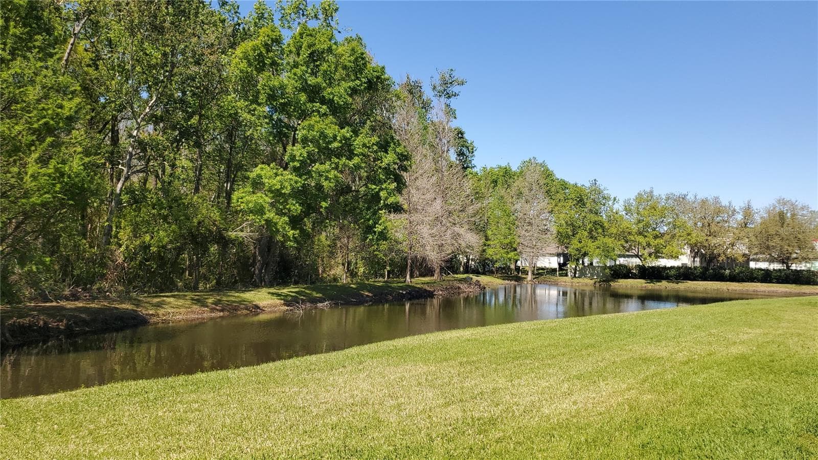 Townhouse at 4535 WINDING RIVER WAY, LAND O LAKES, photo 42 of 45