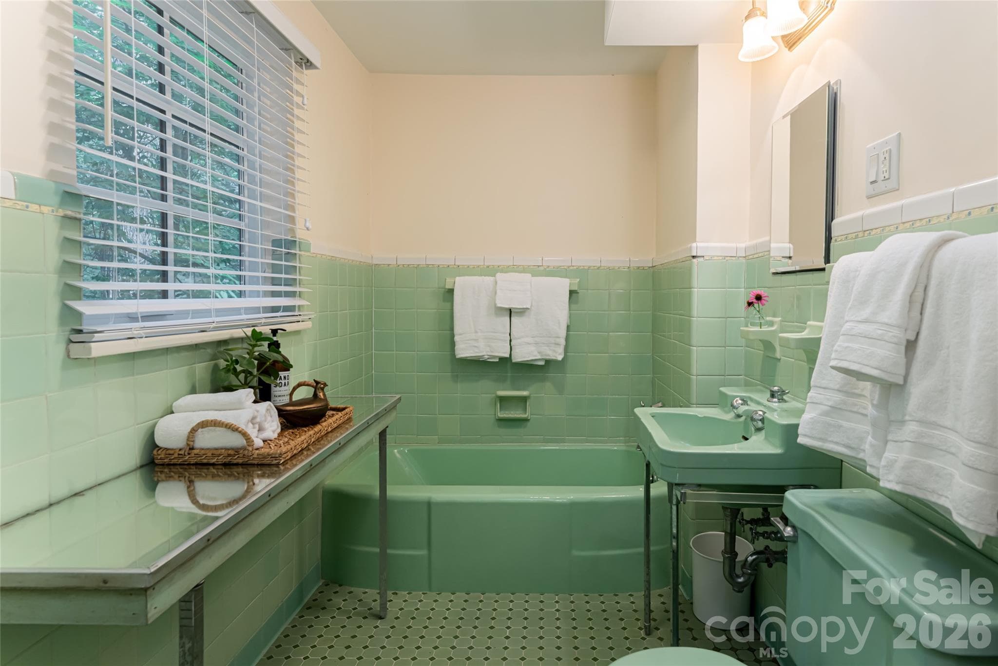 Main house lower guest suite bathroom - Asheville
