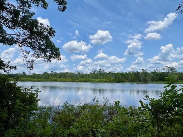 Land at VISTA ST, LAKE HELEN, photo 8 of 24