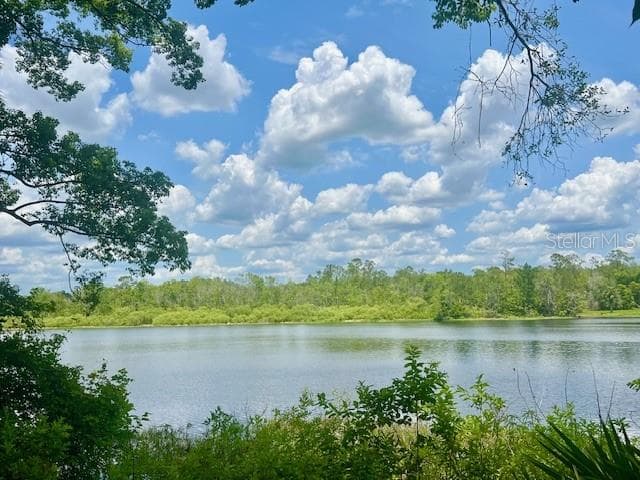 Land at VISTA ST, LAKE HELEN, photo 9 of 24