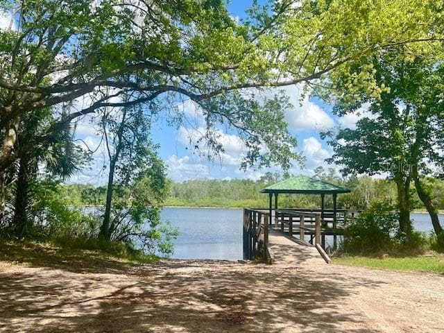 Community Dock - VISTA ST, LAKE HELEN