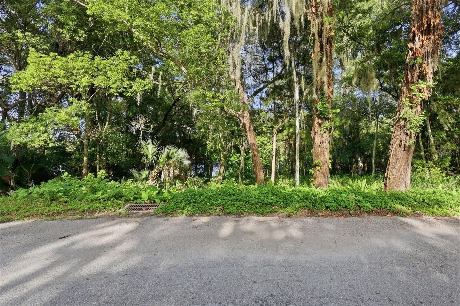 Land at VISTA ST, LAKE HELEN, photo 12 of 24