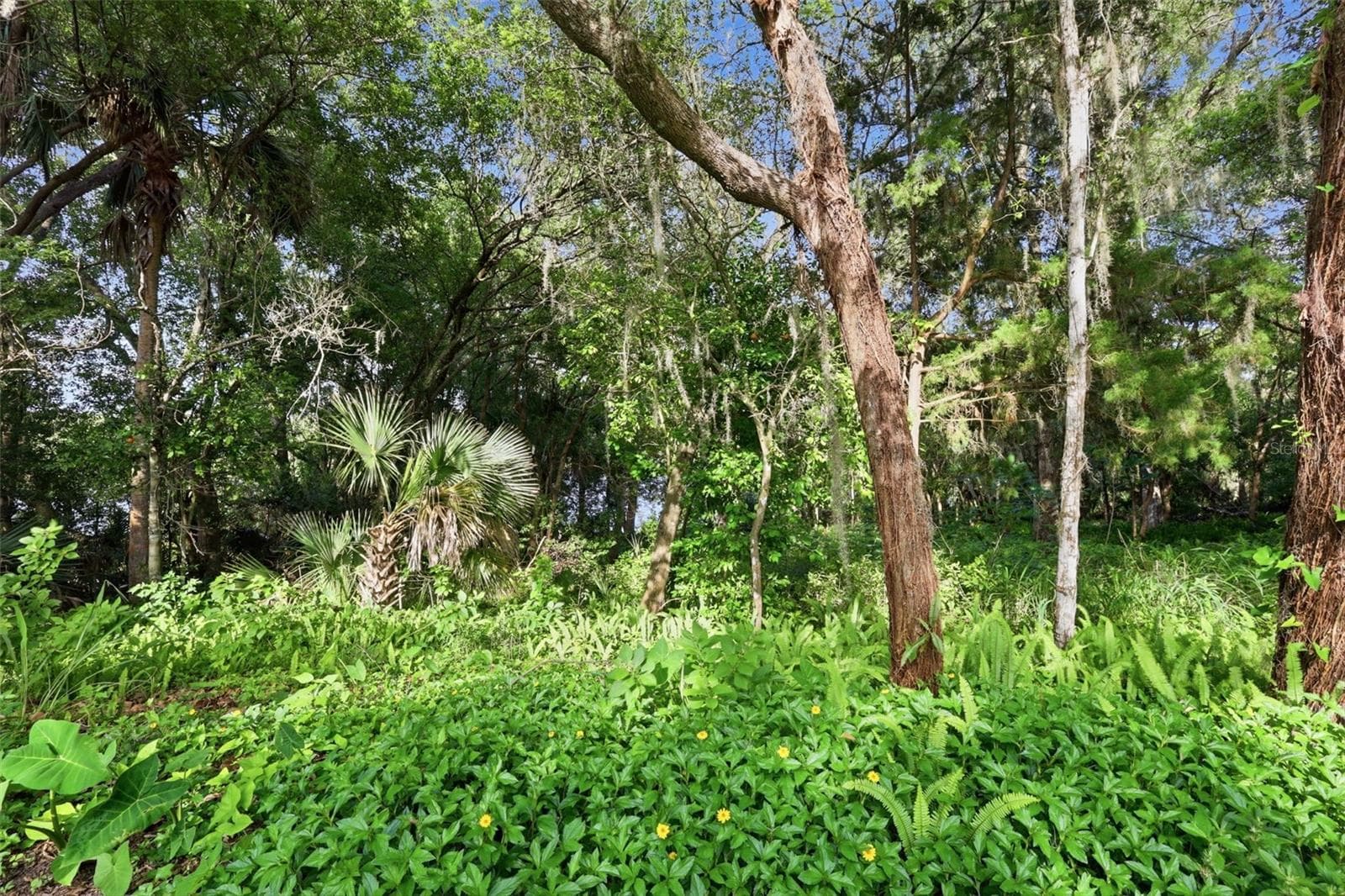 Land at VISTA ST, LAKE HELEN, photo 13 of 24