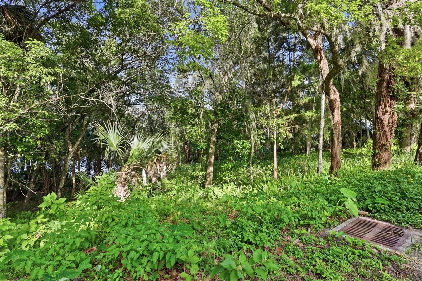 Land at VISTA ST, LAKE HELEN, photo 14 of 24