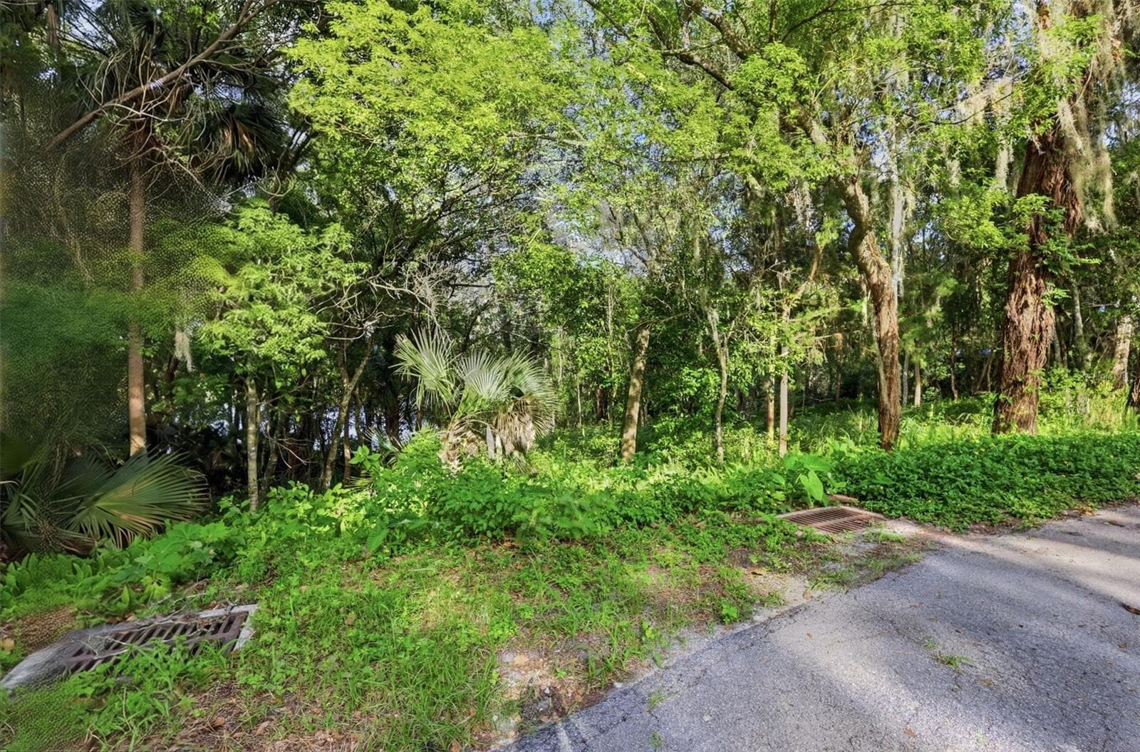 Land at VISTA ST, LAKE HELEN, photo 21 of 24