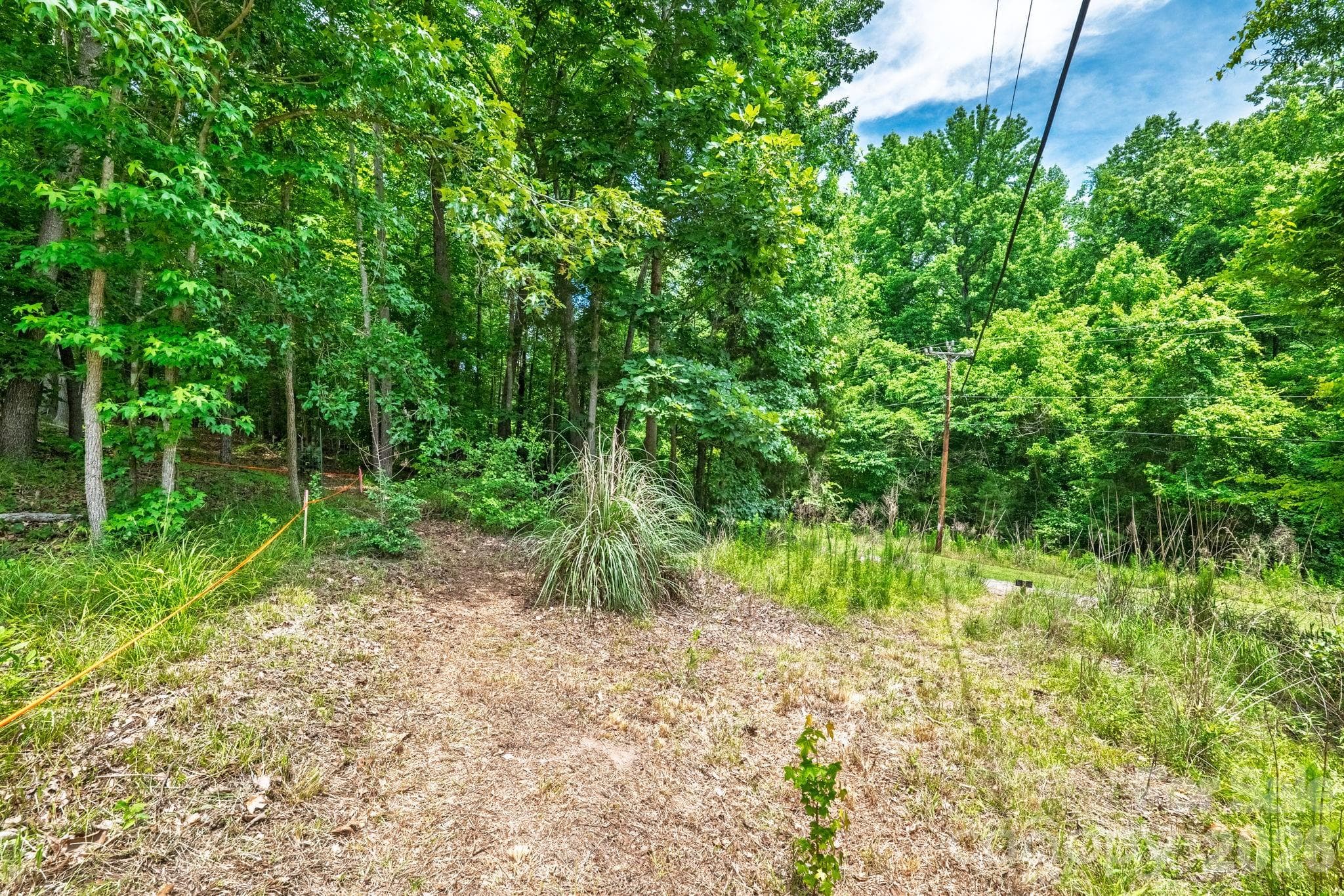 Lot at Fort Mill, photo 4 of 39
