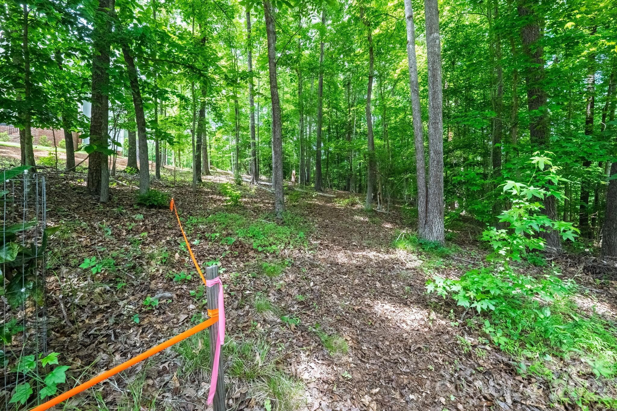Lot at Fort Mill, photo 5 of 39